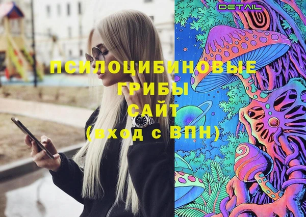 гидра Михайловск