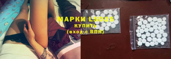 гидра Михайловск