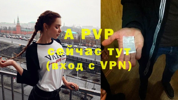 гидра Михайловск
