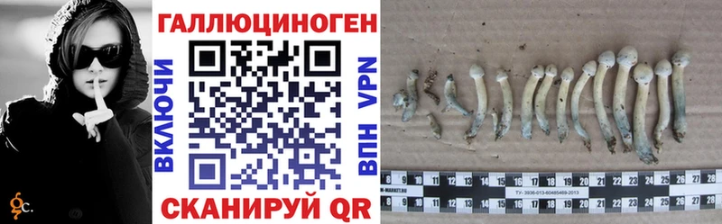 Галлюциногенные грибы GOLDEN TEACHER  Емва 